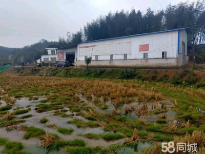常德市桃源区 可做仓库，厂房，有三箱电，价格面议，可以分租图3