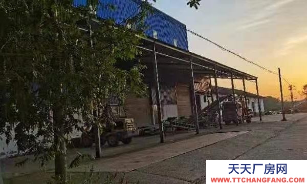 常德市桃源区三阳港镇大型烘干厂（含烘干机）、仓库出售