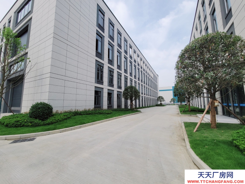 租售青白江全新独栋花园式厂房 50年独立产权 可按揭