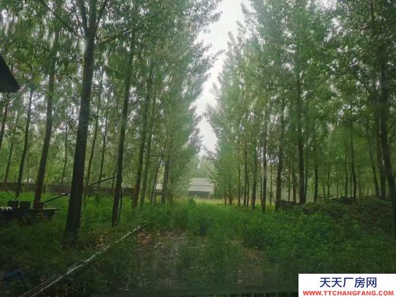 唐山 迁安 内部设施齐全，有厂房库房，有空地