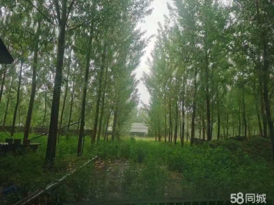 唐山 迁安 内部设施齐全，有厂房库房，有空地图1