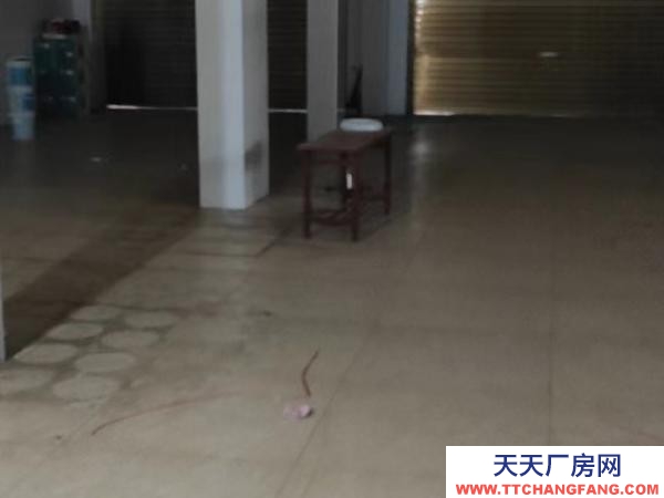 常德市安乡 临近深柳大道，交通便利