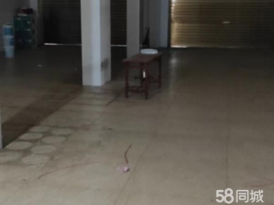 常德市安乡 临近深柳大道，交通便利图1