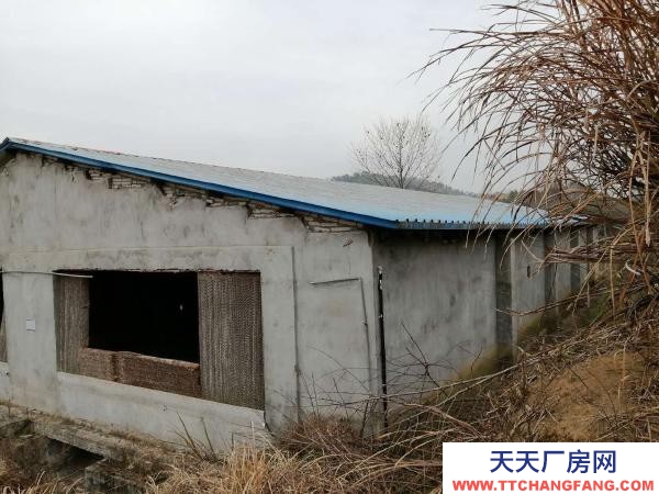 (出租)黄冈浠水 380V的电力，可根据用户需求改