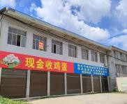 (出租) 黄冈浠水手续齐全，浠水冠乔学校前150米，浠英公路旁