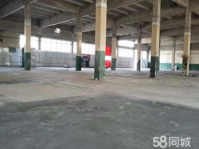 (出租) 天津宁河经济开发区标准厂库房出租图3