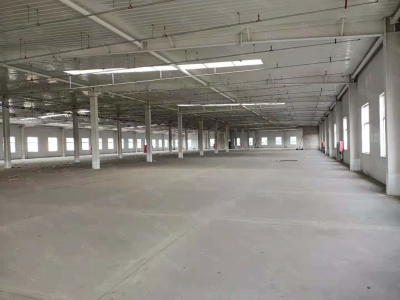 (出租)天津宁河 全新家具类双层厂房，有喷漆烤漆环评，随时可看！图1