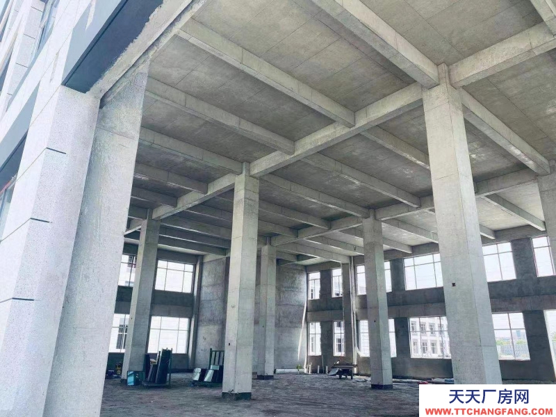 (出售) 出租、出售塘沽厂房，均价4300，总价低