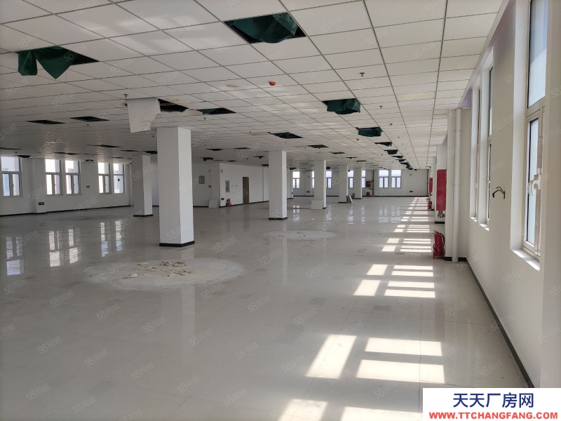(出售) 天津塘沽（高端精密仪器产业园）打造天津（仪器设备研发生产）的专业园区