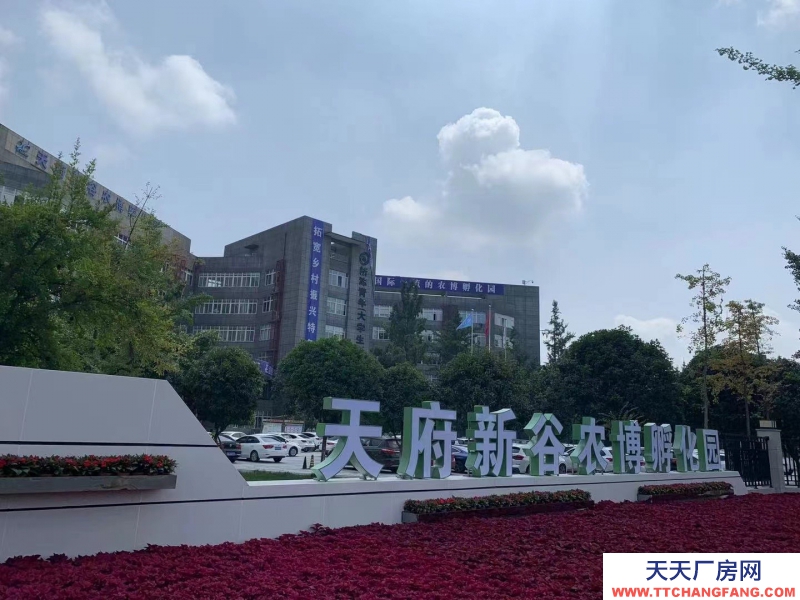 （转让）天府农博孵化园3号车间2层转让，全装修，带办公室