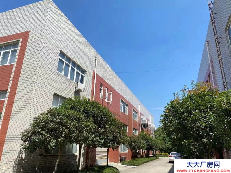 （转让）天府农博孵化园3号车间2层转让，全装修，带办公室