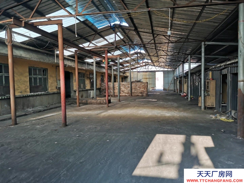 潍坊坊子东外环宝通街独门独院