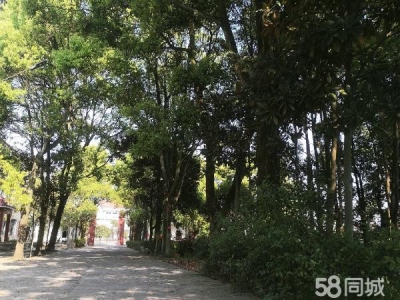 常德市临澧区 位于临澧县新安镇火车站可做仓库厂房图1