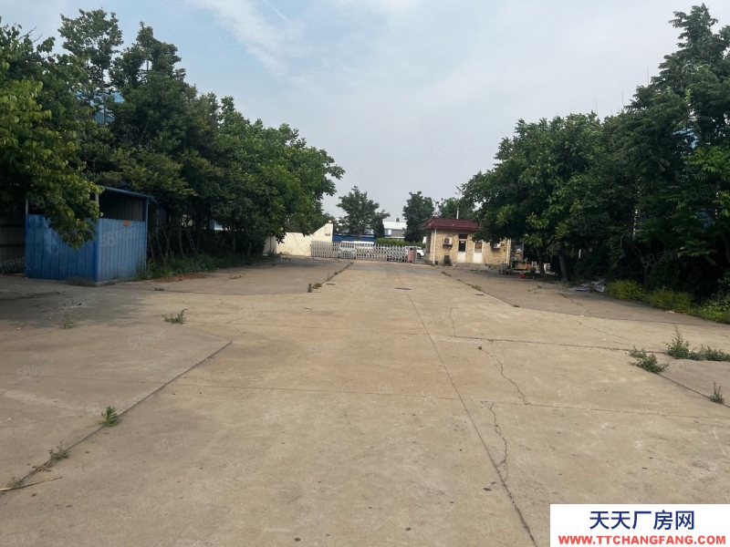 (出售) 天津津南开发区聚英路，工业用地60万一亩，聚英路占地25亩不议价