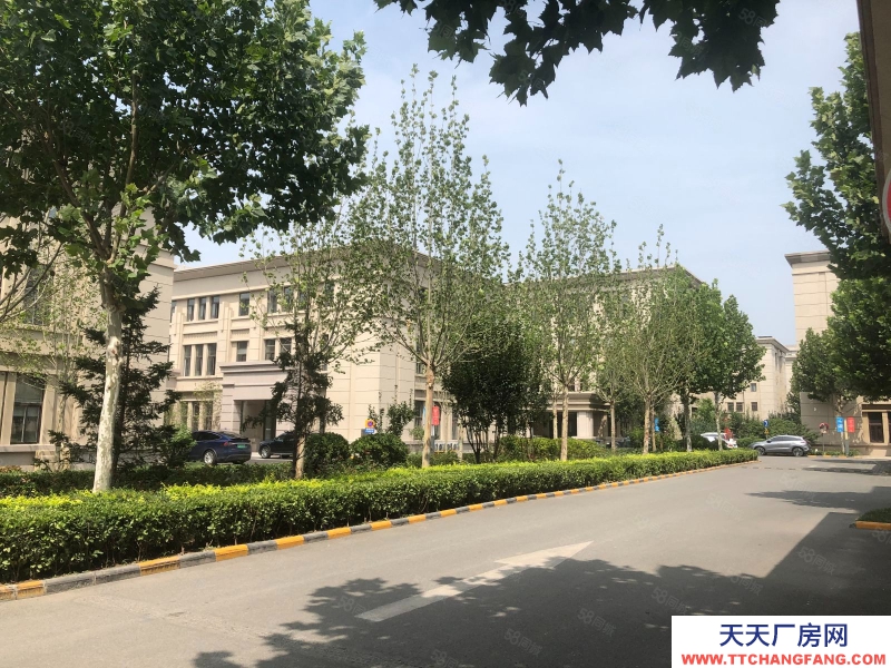 (出售) 天津河西环线旁，超低单价办公平层，电梯入户