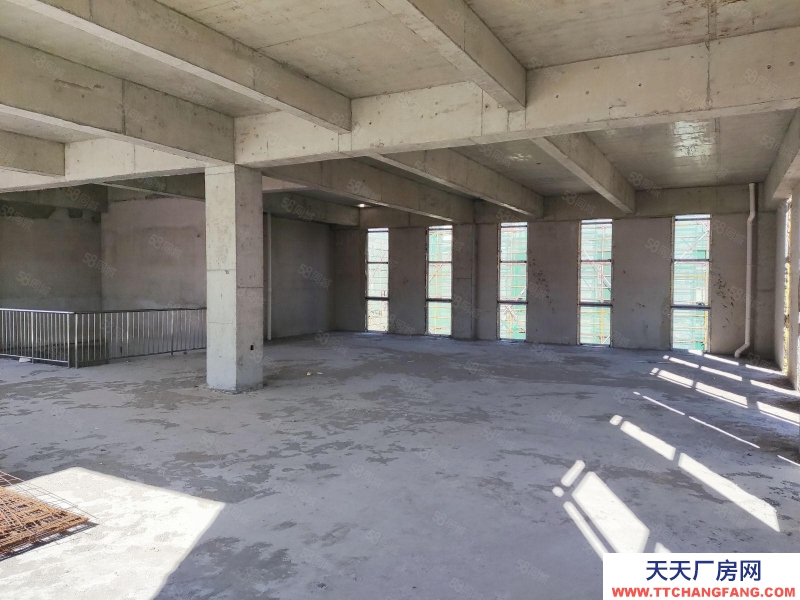 (出售) 天津东丽经开区厂房2层半独栋厂房
