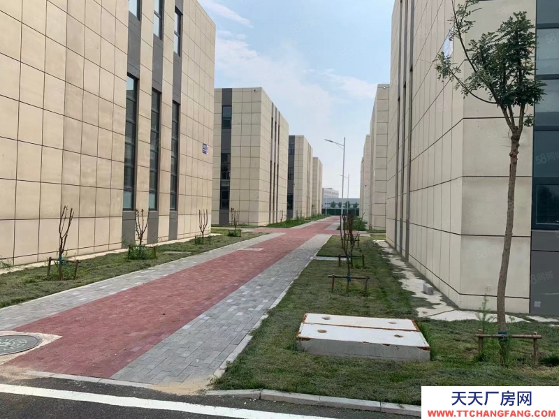 (出售) 天津东丽现房出售 五证齐全 可贷款 行业宽松