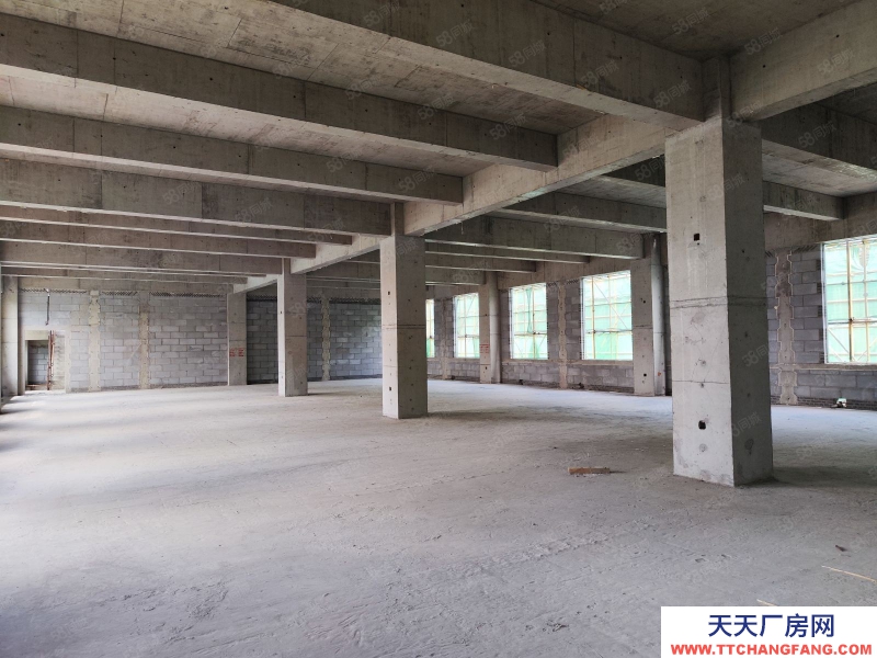 (出售) 天津东丽开发商直售，1200至3000平独栋双拼，交房即可办理房本