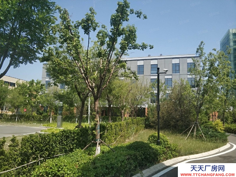 (出售) 天津北辰科技园北站 低密度企业独栋 中关村天津示范区政策加持