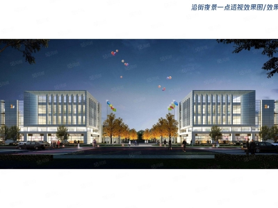 (出售) 天津宁河 单层独门独院厂房 层高9.5米 位置好 价格美丽图2