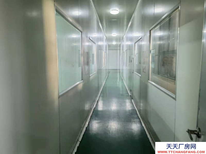 (出租) 安徽宣州区现有食品厂1500整体出租（包括净化车间）可做仓库生产办公一