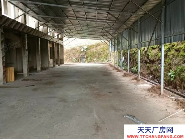 衡阳市雁峰区业主自建单层独栋厂房450平米出租