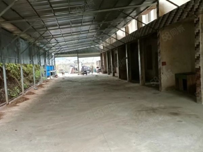 衡阳市雁峰区业主自建单层独栋厂房450平米出租图3