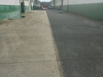 衡阳市雁峰区白沙洲业主自建单层独栋厂房1650平米出租图1
