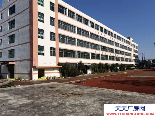 衡阳市雁峰区低价出售或出租，超高性价比