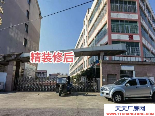 衡阳市雁峰区低价出售或出租，超高性价比