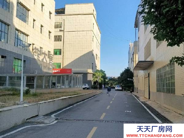 衡阳市雁峰区 本房属于公司多余产权房，可用仓库可小型加工