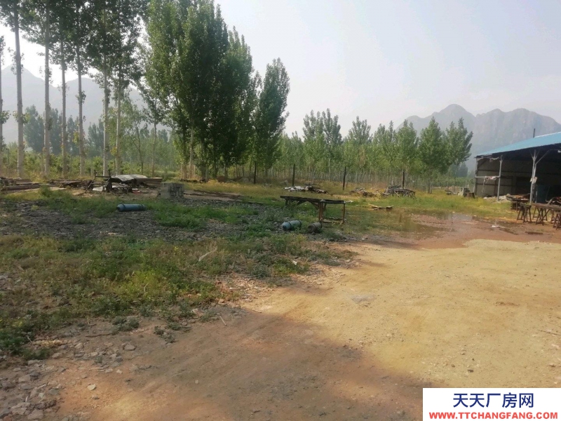 唐山 遵化 原木线加工厂房400㎡，总占地4亩