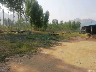 唐山 遵化 原木线加工厂房400㎡，总占地4亩图1