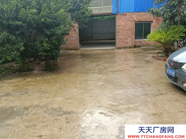 衡阳市石鼓区业主自建单层独栋厂房1300平出租