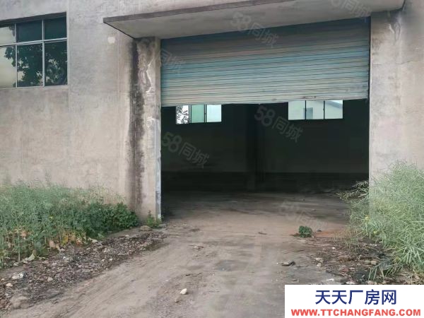 衡阳市石鼓区业主自建单层独栋厂房500平米出租