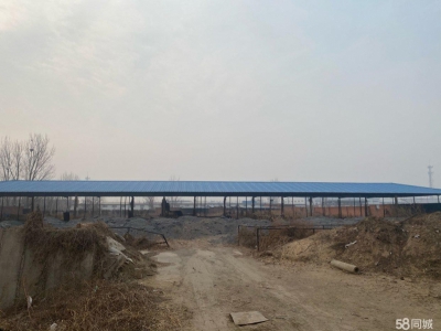唐山 滦南  青坨营20亩大院，三相电，厂房宿舍俱全图1