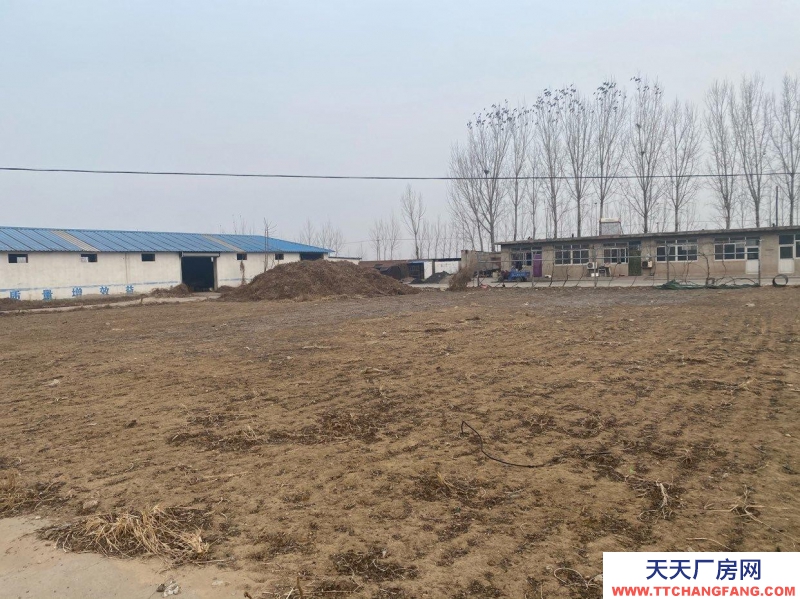 唐山 滦南  青坨营20亩大院，三相电，厂房宿舍俱全