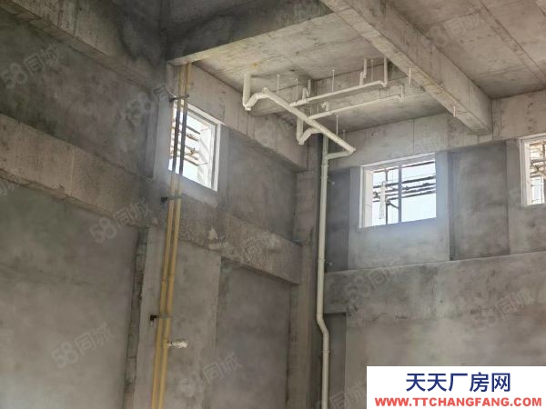 无锡江阴50年产权高标准厂房独栋3400平方也可双拼1700