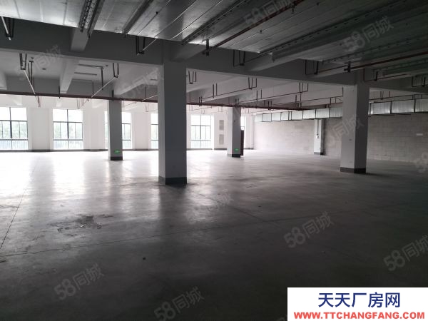 无锡江阴顾山北国独门独院21000平方，大小可分空地大。