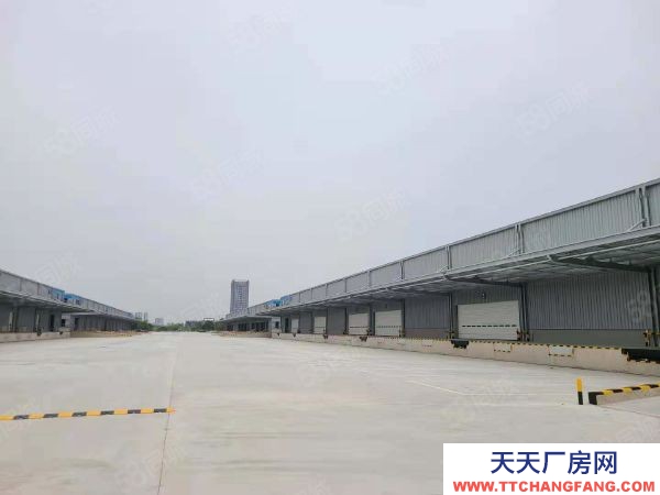 无锡江阴申港亚包大道10000平方丙一类高标仓库出租