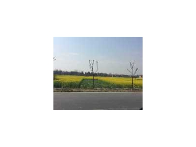 (出租) 黄冈黄梅出租小池105国道旁厂房租售同步图1