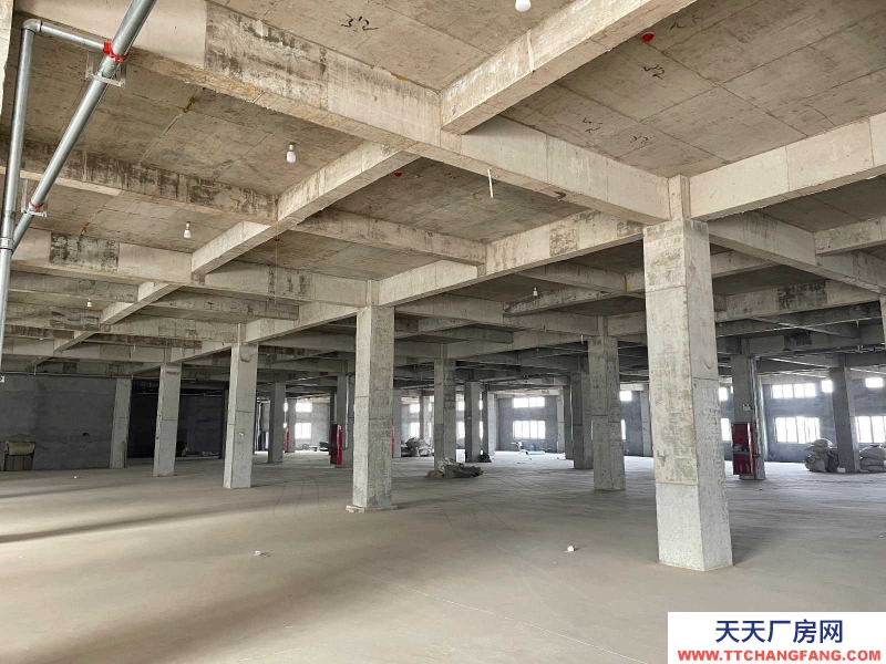 (出租) 亳州谯城办公楼、仓库车间（高铁站附近，地理位置好，可整租可分租）