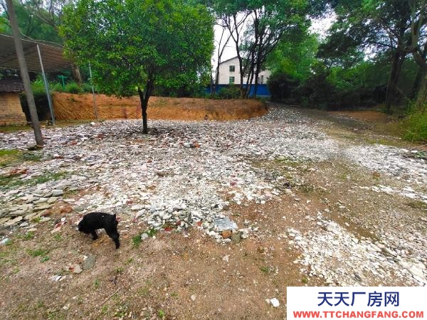 衡阳市蒸湘区 2000平方（+场地）价格面谈