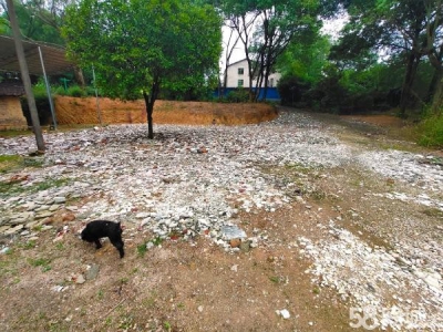 衡阳市蒸湘区 2000平方（+场地）价格面谈图1