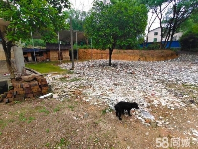 衡阳市蒸湘区 2000平方（+场地）价格面谈图2