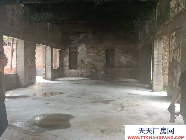 衡阳市珠晖区业主自建单层独栋厂房1000平米出租