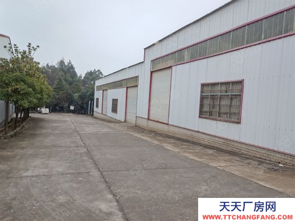 衡阳市珠晖区 美鑫科技，珠晖区东三环马路边交通十分便利，无中介费
