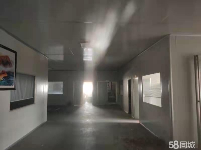 (出租) 亳州涡阳加工，生产，用来当作仓库图1