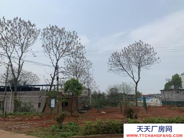 衡阳市耒阳区师大附中107国道 厂房直租 1000-2000平米