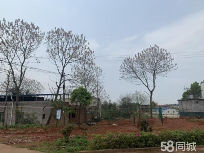 衡阳市耒阳区师大附中107国道 厂房直租 1000-2000平米图2
